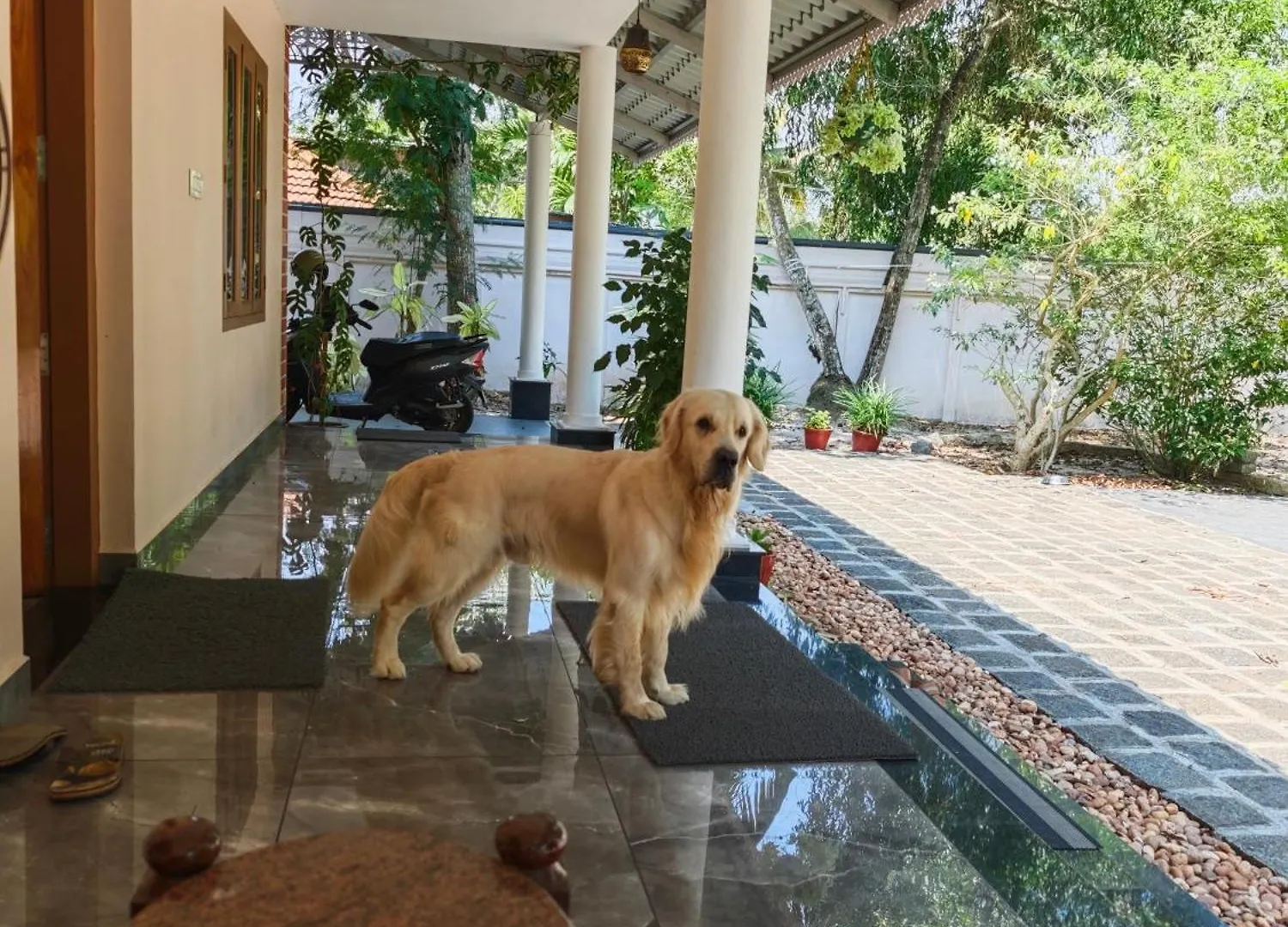 Villa Angel Homestay Paravoor Alappuzha Indien
